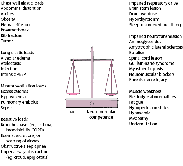 CRC_balance_load_neuromuscular_competence_zh