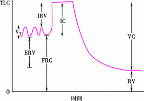 PUL_normal_lung_volumes_zh