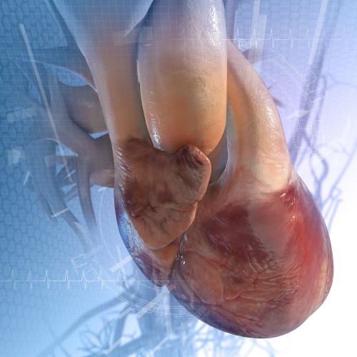 胸部和呼吸系统